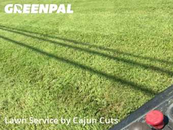 Lawn Mow nearby Murfreesboro, TN, 