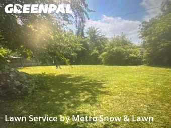 Grass Cut nearby Roseville, MI, 