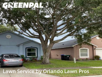 Lawn Cut nearby Orlando, FL, 