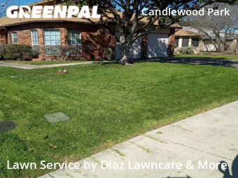 Lawn Mow nearby San Antonio, TX, 