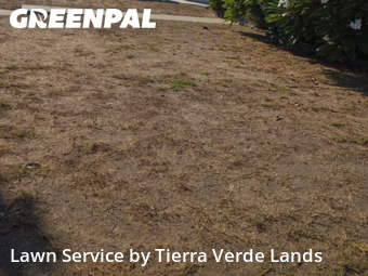Work completed by the-yard-cutting-businesses-in-Torrance-CA