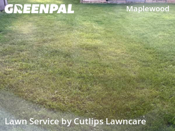 Lawn Service nearby Springfield, OH, 