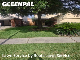 Grass Cutting nearby Humble, TX, 