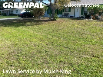 Grass Cutting nearby Cape Coral, FL, 