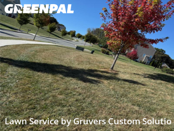 Lawn Mow nearby Breinigsville, PA, 