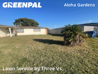 Lawn Cutting in Holiday, 34691, Lawn Management by Three Vs , work completed in Nov , 2025