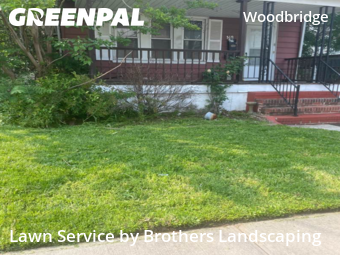 Lawn Cutting nearby Woodbridge Township, NJ, 