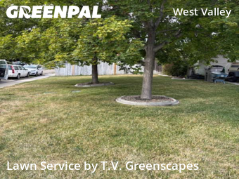 Lawn Mow nearby Boise, ID, 