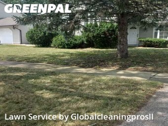 Lawn Mowing Service nearby Matteson, IL, 