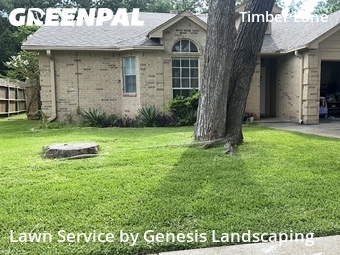 Yard Mowing nearby Spring, TX, 