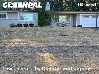 Lawn mowed in Shoreline, 98177