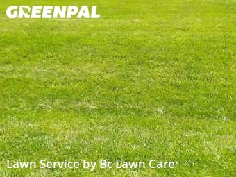 Lawn Mowing Service nearby Wendell, NC, 