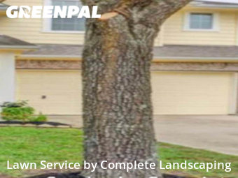 Lawn Service nearby League City, TX, 