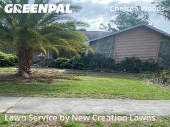 Lawn Maintenance nearby Valrico, FL, 