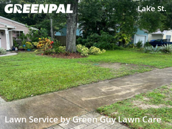 Lawn Care nearby Palm Harbor, FL, 