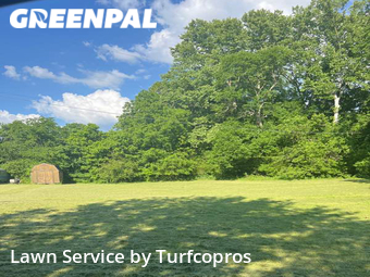 Grass Cut nearby Nashville, TN, 