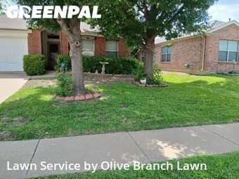 Lawn Mow nearby Blue Mound, TX, 