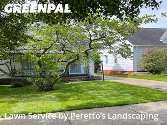 Lawn Cutting nearby Garfield Heights, OH, 