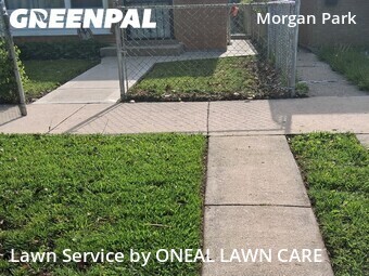 Lawn Care Service nearby Chicago, IL, 