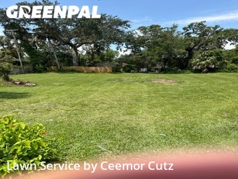 Lawn Mowing nearby Daytona Beach, FL, 