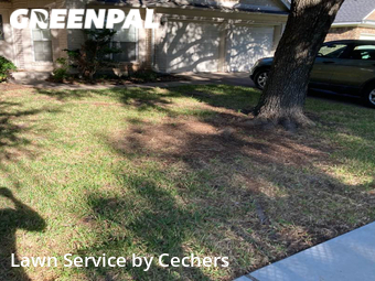 Lawn Mowing nearby Round Rock, TX, 
