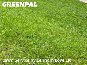Lawn Cut nearby Markham, IL, 