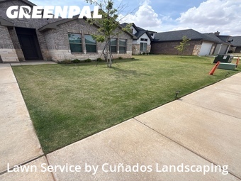 Lawn Cut nearby Lubbock, TX, 