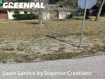 Grass Cut nearby Spring Hill, FL, 