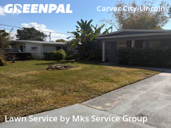 Lawn Mow nearby Tampa, FL, 