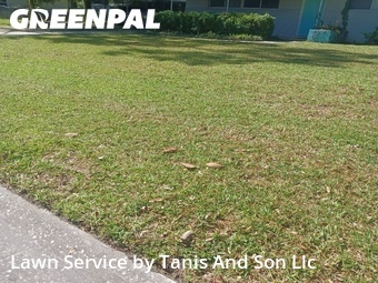 Backyard Landscaping In Gainesville,32609,Landscaping by Tanis And Son Llc, work completed in Jun , 2026