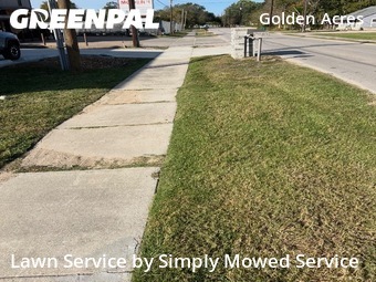 Lawn Maintenancein Pasadena,77503,Yard Mowing by Simply Mowed Service, work completed in Feb , 2026