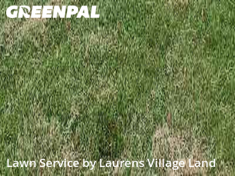 Grass Cutting nearby Great Falls, VA, 