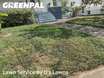 Lawn Cut nearby Louisville, KY, 