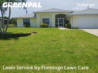 Grass Cut nearby Cape Coral, FL, 