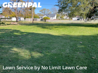 Yard Cutting nearby Granite City, IL, 