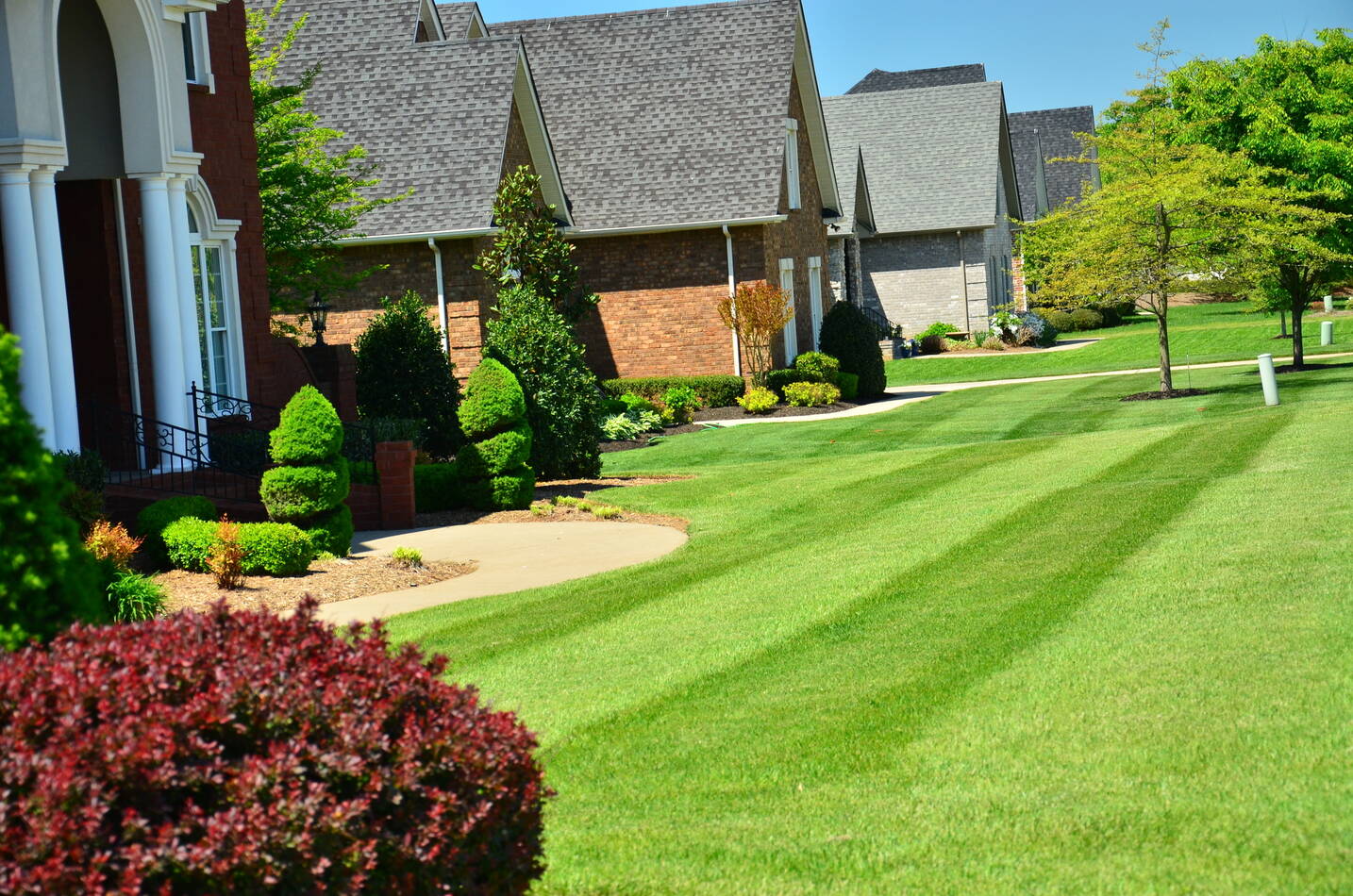 Landscaping Service Santa Ana California