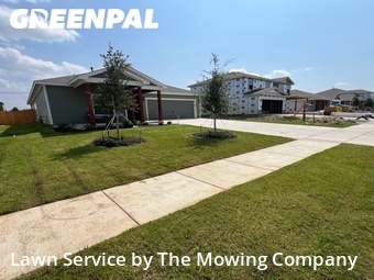 Grass Cutting nearby Terrell, TX, 