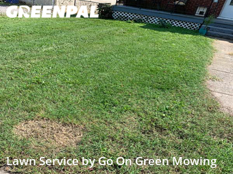 Grass Cutting nearby Roanoke, VA, 