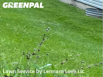 Grass Cutting nearby Markham, IL, 