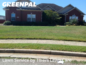 Grass Cutting nearby Madison, AL, 