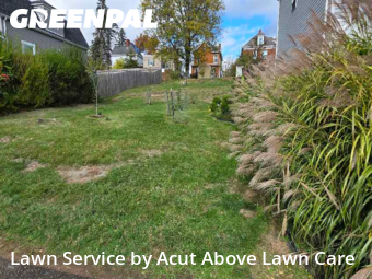 Yard Cutting in Ross Township, 15202, Lawn Work by Acut Above Lawn Care, work completed in Oct , 2025