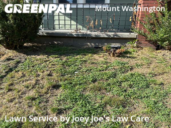 Lawn Mow nearby Pittsburgh, PA, 