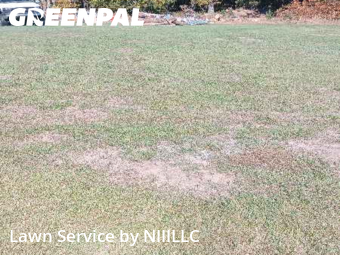 Lawn Cutting nearby Holton, MI, 