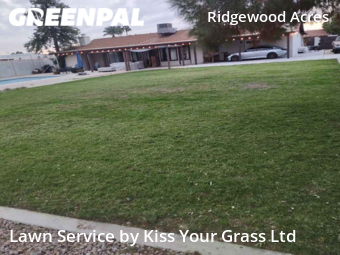 Lawn Cutting nearby Phoenix, AZ, 