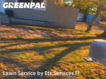 Lawn mowed in St. Petersburg, 33714