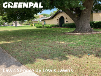 Yard Cutting nearby Dallas, TX, 
