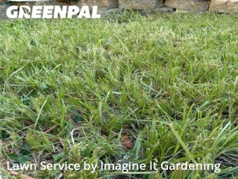 Lawn Maintenance nearby Miami, FL, 