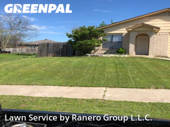 Grass Cut nearby Killeen, TX, 