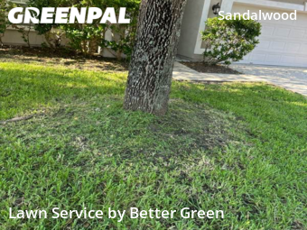 Lawn Cutting nearby Jacksonville, FL, 
