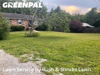 Lawn Mow nearby Fairview, TN, 